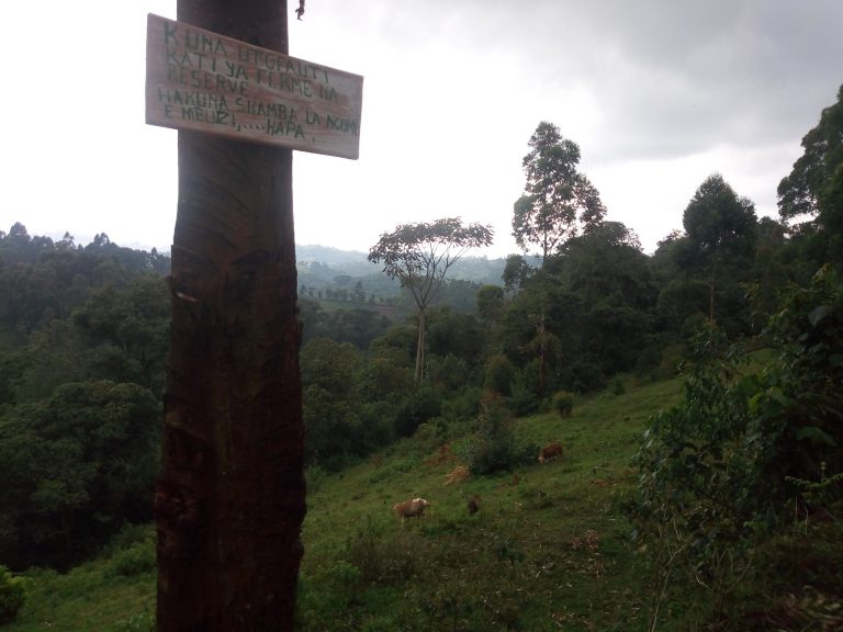 Nord-Kivu: la réserve naturelle de Kalonge, un paradis pour des espèces ...