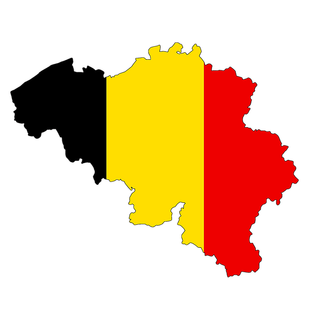 LE ROI DES BELGES ARRIVE CE JOUR AU CONGO POUR PRESQUE UNE SEMAINE A L'INVITATION ET A LA SATISFACTION, SEMBLE-T-IL, DU POUVOIR DE KINSHASA. QUELQUES VOIX DISSONANTES SURTOUT A PARTIR DE LA DIASPORA. QU'EN PENSE LA POPULATION CONGOLAISE ? Belgium-g80d9666b6_640