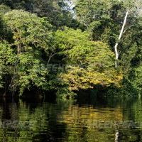 September 18th, 2017.
Boat trip on the Congo river from Mbandaka to Ingende (peatland forests).